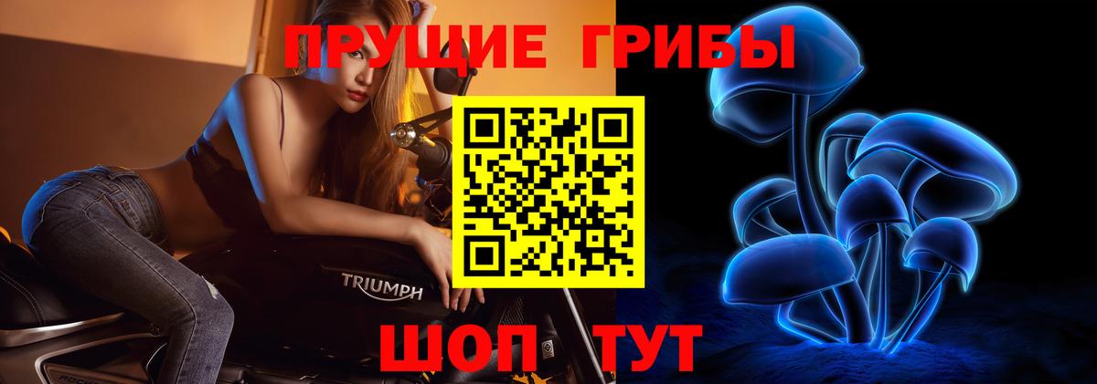 Галлюциногенные грибы мицелий Борзя